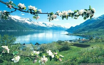 Spring Desktop Wallpaper Amazing Collection Weddingdressin