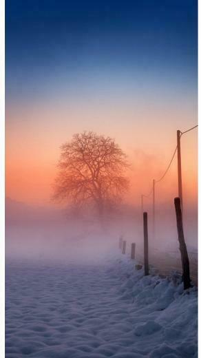 Winter Scenery iPhone 6s Plus Wallpaper HD