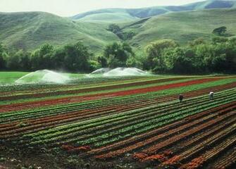 Land Study Of Found That Millions Acres Farmland