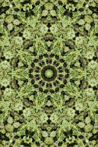 Mandala Wallpaper