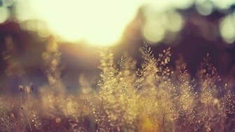 Vedere Il Mondo HD Wallpaper