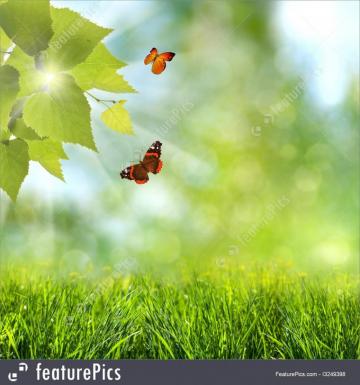 Summer Season Time Abstract Optimistic Background With