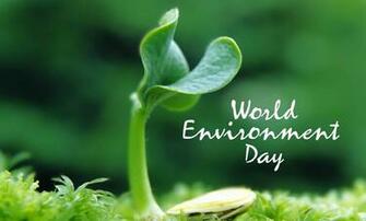 Environment Day Theme Slogans Quotes Sms Wallpaper Photos