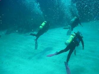 Scuba Desktop Background Screensavers