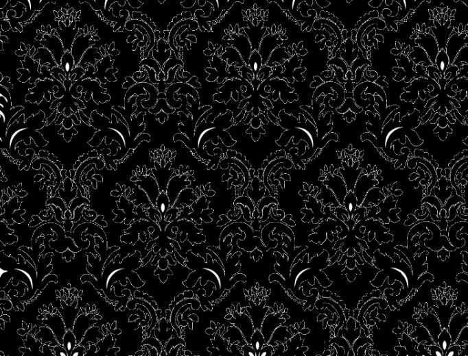 Black And White Background Camera Information