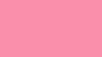 Widescreen Flamingos On Beach Jpg