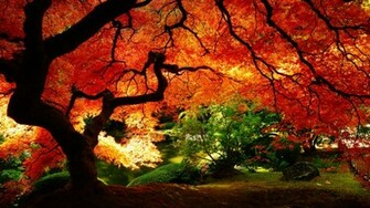 Fall Desktop Wallpaper In HD