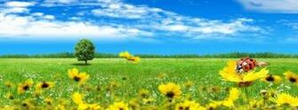 Beautiful Wallpaper For Desktop Timeline Covers Photos