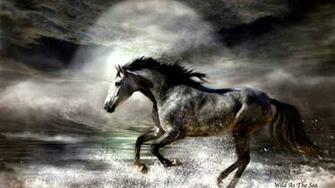 Paint Horse Wallpaper