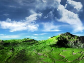 HD Nature Wallpaper