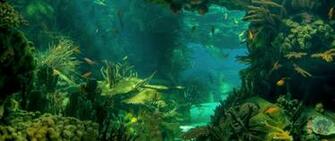 Wallpaper Sea Seabed Landscape