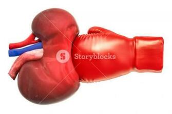 Pain In Kidneys Chronic Kidney Disease Concept With