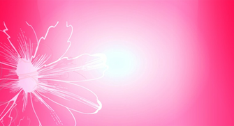 Pink Background Screensaver HD Wallpaper Cool Walldiskpaper