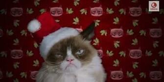 Grumpy Cat S Christmas Movie Trailer Is Here And She Not Happy