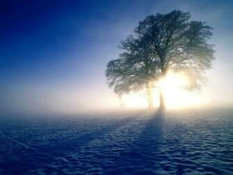 Winter Desktop Wallpaper Resolutions In HD