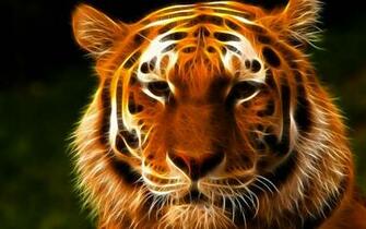 Tiger Face Wallpaper