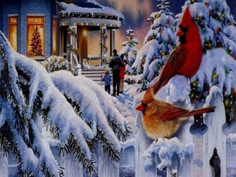 Home iPhone Wallpaper HD Top Best