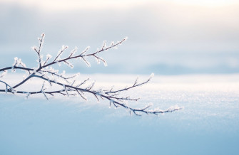 Frozen Tablet Wallpaper