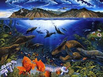 Sea Life Full HD Wallpaper And Background Id