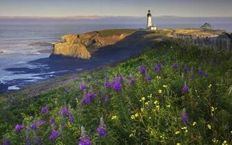 Oregon Coast Guiding Lights