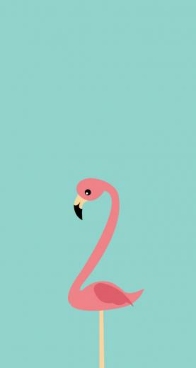 New Summer Flamingo iPhone Wallpaper Perfectly Missmatched