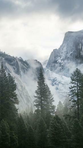 Forest Yosemite 5k Wallpaper Osx Apple Mountains