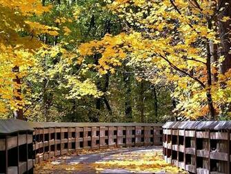 Fall Scenes And Foliages Photo Country Road In Autumn