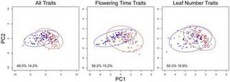 Plos Genetics Unifying Genetic Canalization Constraint