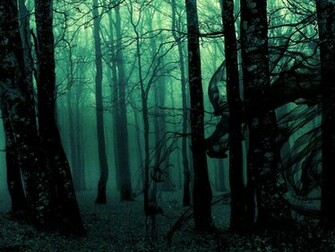 Black Forest Wallpaper Desktop Background