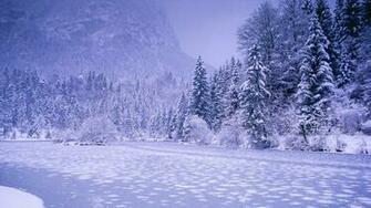 Winter Landscape HD Wallpaper