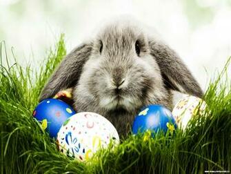 Easter Bunny Wallpaper Desktop iPad Background In