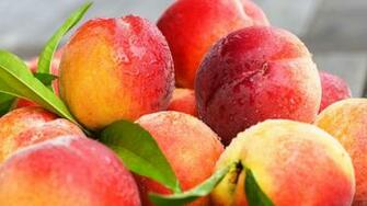 Peaches Nectarines Leaves 1080p Laptop Full HD