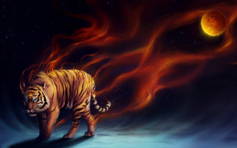 Cool Tiger Wallpaper