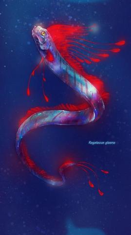 Oarfish By Fany001 Mediums Of Art Drawings