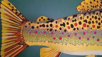 Rainbow Trout Art Wallpaper Provo Brown X24