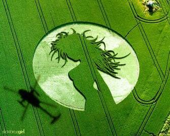 Pics Photos Crop Circle Wallpaper