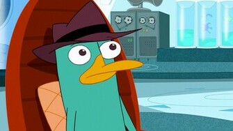 Perry The Platypus Cool Wallpaper Image HD