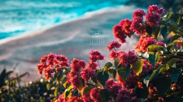 June Wallpaper Calendars For Your Desktop Phone