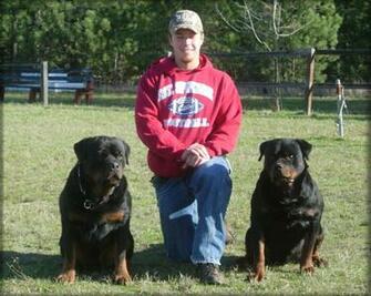 Rottweiler Wallpaper Fun Animals Wiki Videos Pictures Stories
