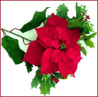 Poinsettia Wallpaper