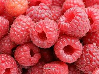Fresh Fruit Wallpaper Food Recipes