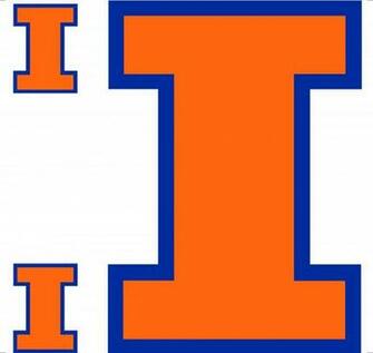 Illinois Fighting Illini Licensed Wall Decal