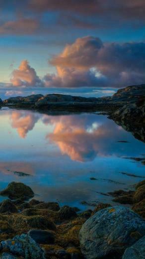 Nature Nexus Wallpaper HD And Background