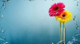Windows Flowers Vase UHD Wallpaper Ultra High Definition