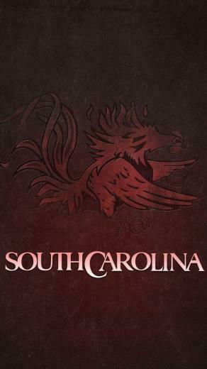 Gamecock Background South Carolina Gamecocks