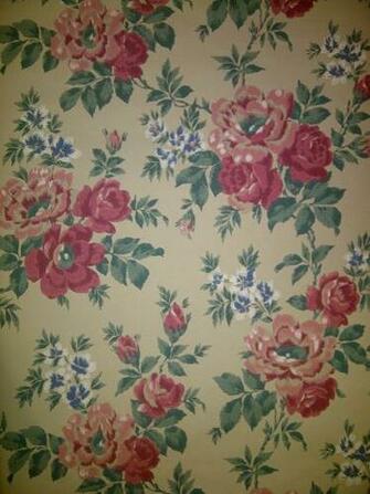 Cabbage Rose