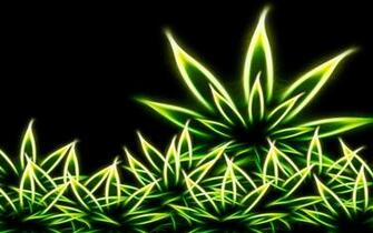 Funny Weed Wallpaper Car Pictures