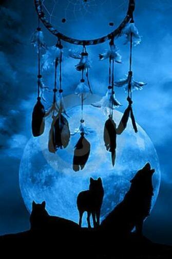 On Native Americans Wolves Dream Catchers And Catcher