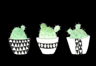 Transparent Cactus