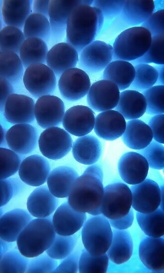 Blue Themed Mobile Wallpaper For All Pixel Cellphones